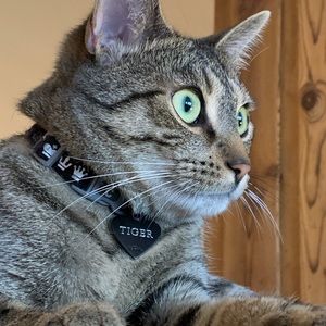 Meet your Posher, Ingrid